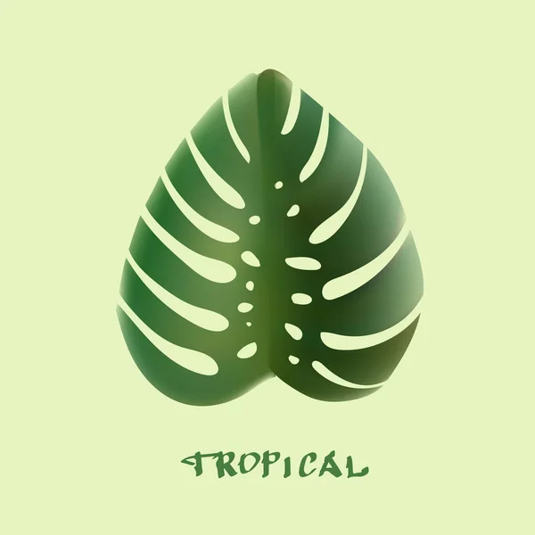 Tropical leaves vector set — Stock Vector