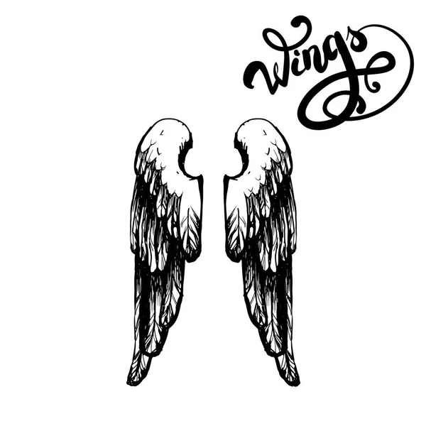 Schriftzug Flügel Logo Druck Vektor Engel — Stockvektor
