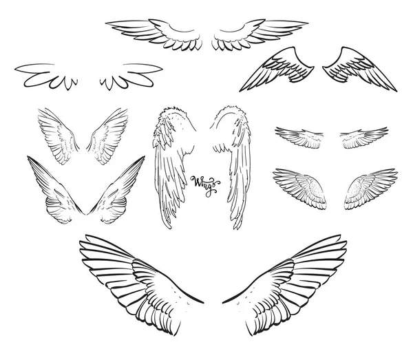 Angel wings texture pattern vector drawing — Stock Vector