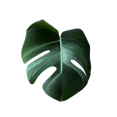 tropik yapraklar vektör kümesi