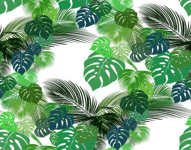 tropik yapraklar vektör kümesi