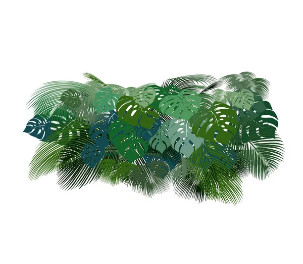 Tropical leaves vector set — Stock Vector