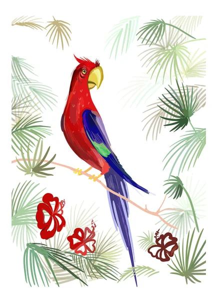 Parrot Illustration Vector Quhs Tropical Set — Stock Vector