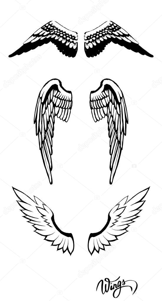angel wings logo vector set