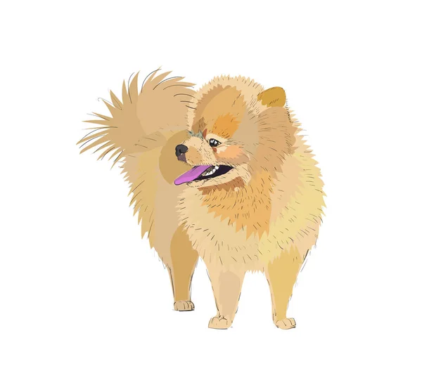 Cute Cartoon Dog Big Smile White Background — Stockvector