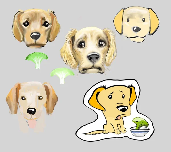 Set Cute Dogs Illustration — Stok fotoğraf