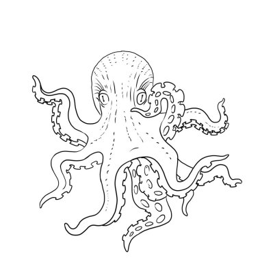 octopus hand drawn illustration