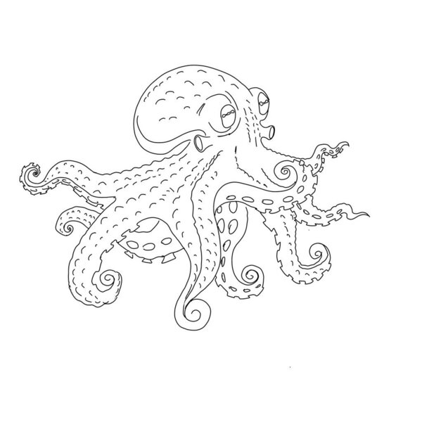 black and white cartoon octopus
