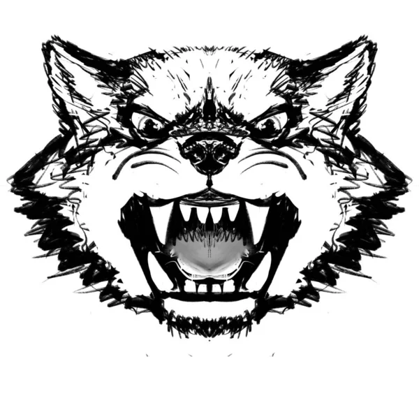 Hand Drawn Sketch Wolf — Stock Photo, Image
