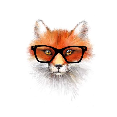 Tilki çiçeği illüstrasyonu boho illüstrasyonu 