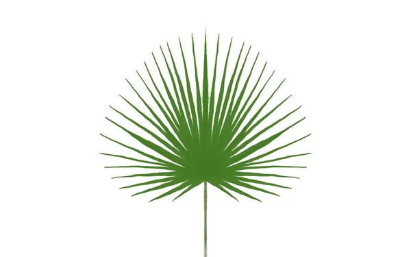 Logo Bloemen Textuur Achtergrond Aquarel — Stockfoto