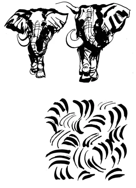 Elephant Sketch Isolated White — ストック写真