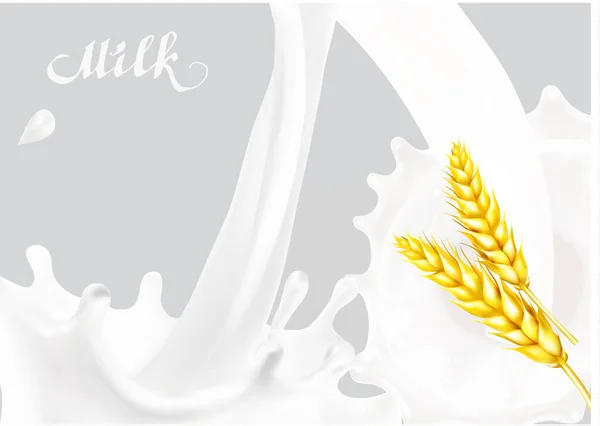 Mjölk Stänk Isolerad Illustration Vektor Choklad — Stockfoto