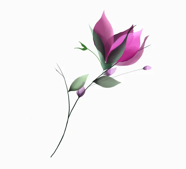 Blommor Akvarell Illustration Mall Uppsättning Design Tryck — Stockfoto