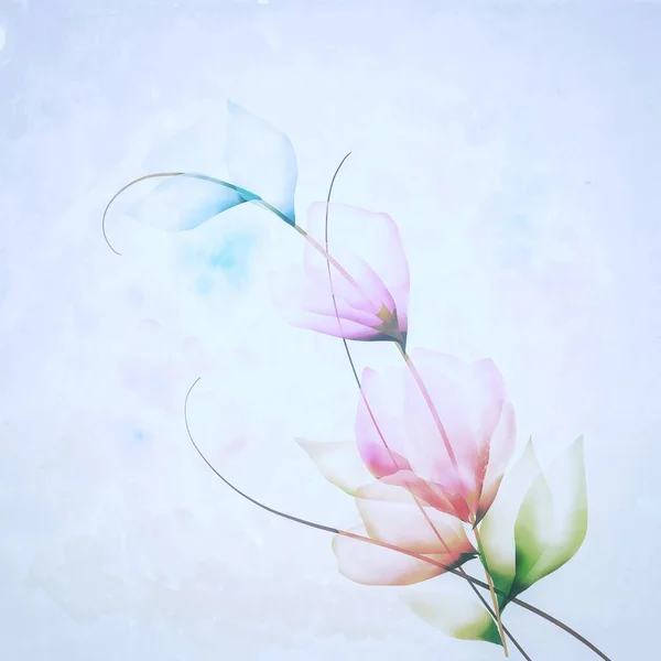 花卉背景图艺术水彩画 — 图库照片