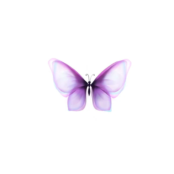 Papillon Avec Ailes Aquarelle Belle Illustration Impression Tropicale — Photo