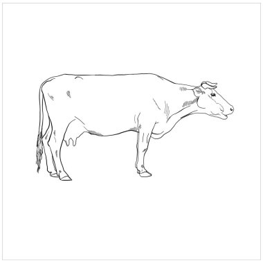 inek çiftliği süt ürünleri illüstrasyonu