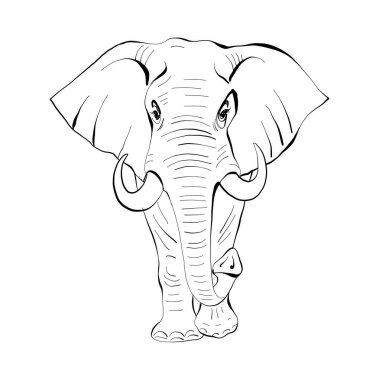 Fil çizimi karakteri mandala çizimi