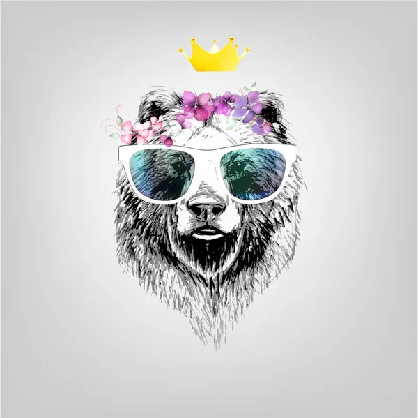 Urso Com Óculos Ilustração Rosto Avatar —  Vetores de Stock