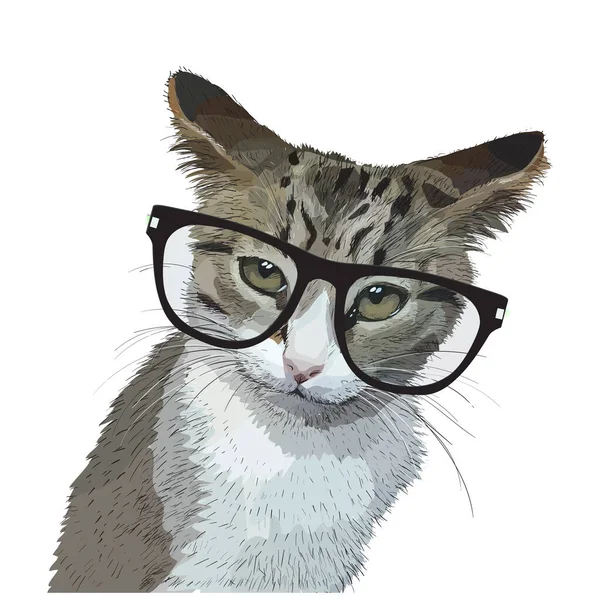Кошка Очках Аватар — стоковый вектор