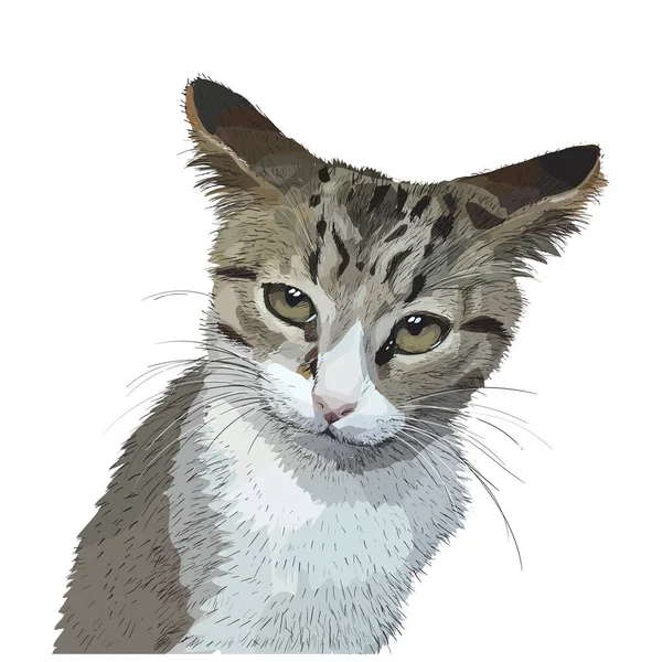 Gato Com Óculos Ilustração Rosto Avatar — Vetor de Stock