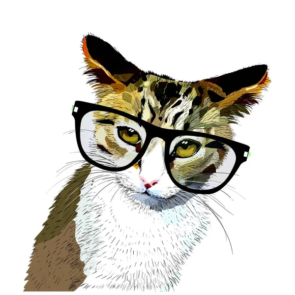 Gato Com Óculos Ilustração Rosto Avatar — Vetor de Stock