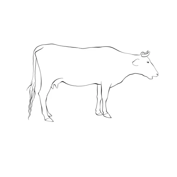 Ілюстрація Коров Ячої Ферми Молочних Продуктів — стоковий вектор