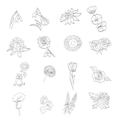 Çiçek işleme tomurcukları simge çizimi oyma seti