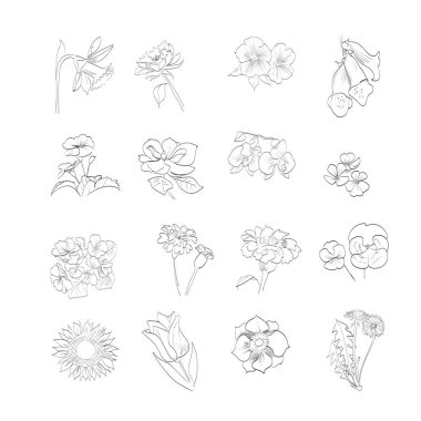 Çiçek işleme tomurcukları simge çizimi oyma seti