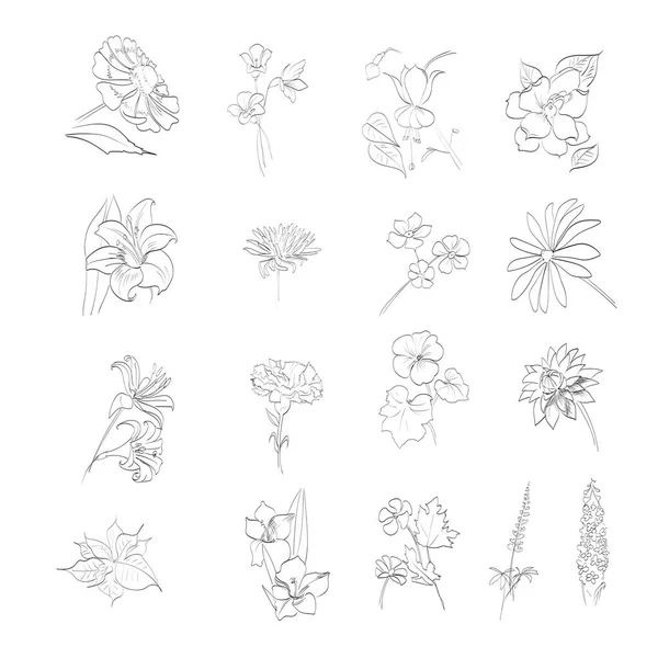 Set Flowers Engraving Buds Icon Sketch Engraving — Stock Vector