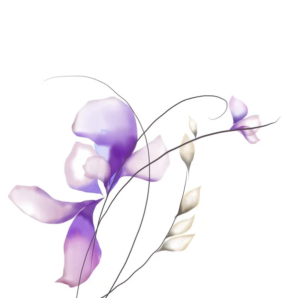 Aquarela Flores Modelo Quadro Vinheta Convite Ilustração — Fotografia de Stock