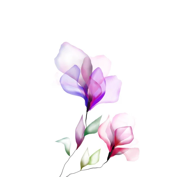 Акварельні Квіти Шаблон Рамки Віньєтки Запрошення Ілюстрація — стокове фото