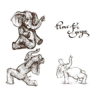 Farklı yoga egzersizleri yapan fil, güç ve sağlık vektörünün sembolüdür..