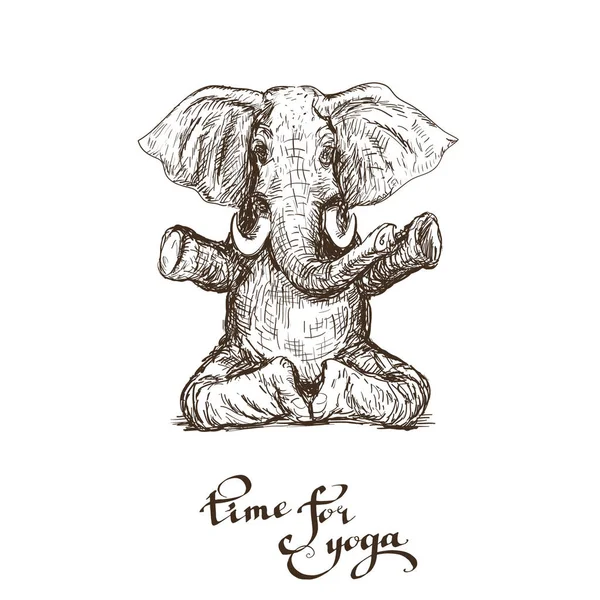 Farklı yoga egzersizleri yapan fil, güç ve sağlık vektörünün sembolüdür..