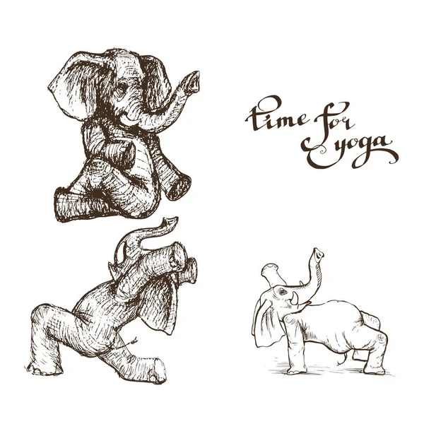 Farklı yoga egzersizleri yapan fil, güç ve sağlık vektörünün sembolüdür..