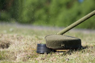 Benzin kesicisi kafa naylon hattı ile taze yeşil çim kesme