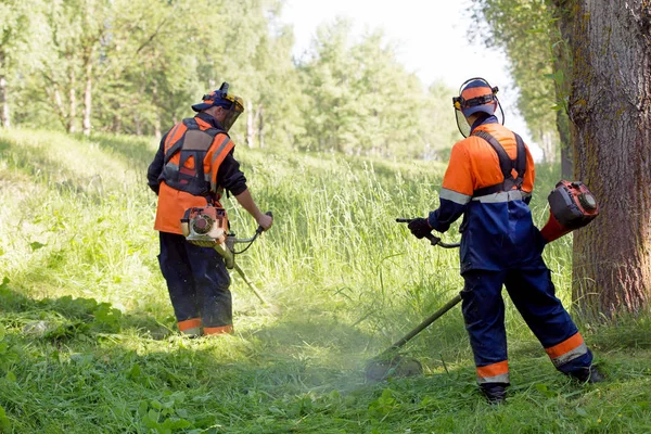 İki landscapers erkek işçi gaz el ile çim biçme Düzelticinin dize