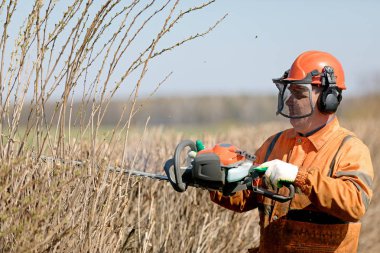 Hedge Budama ve Budama Hizmetleri. Profesyonel Peyzajcı Bahçıvan Man İşçi üniforma ve koruma maskesi Kesme Hedgerows Gaz Lı Makaslar ile