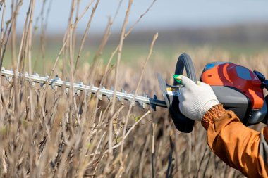 Bahçıvan elleri Bahar ayında bir dalgalı bıçak ile Gaz Powered Hedge Trimmer kullanarak Çalılar Budama