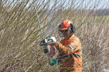 Hedge Trimmer Aracı ile Üniforma ve İşitme Koruma Kulaklık budama Çalılar Profesyonel Adam İşçi