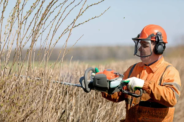 Servizi Taglio Potatura Delle Siepi Giardiniere Paesaggista Professionista Man Worker — Foto Stock