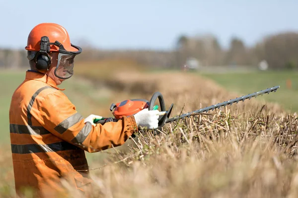 Hedge Cutting Services Professional Landscaper Gardener Man Worker Uniform Hearing — Stock Photo, Image