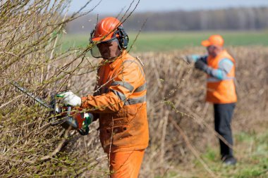 Çit kesme hizmeti. Gaz Powered el Clipper ile üniforma kesme hedgerow iki peyzaj erkek işçi takım