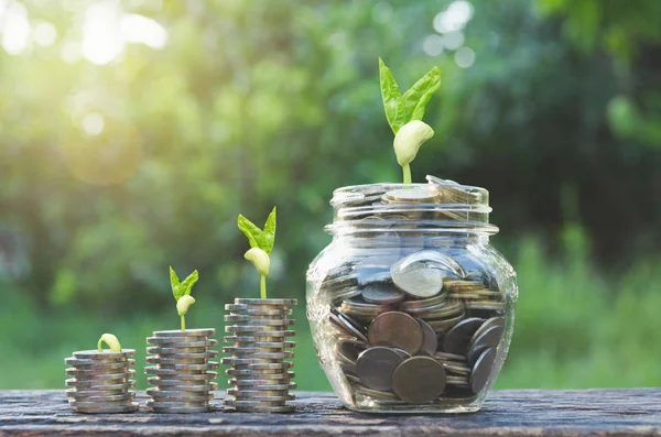 Para biriktirme kavramı ve para yığını iş için büyüyor. finansal ve muhasebe kavramı.