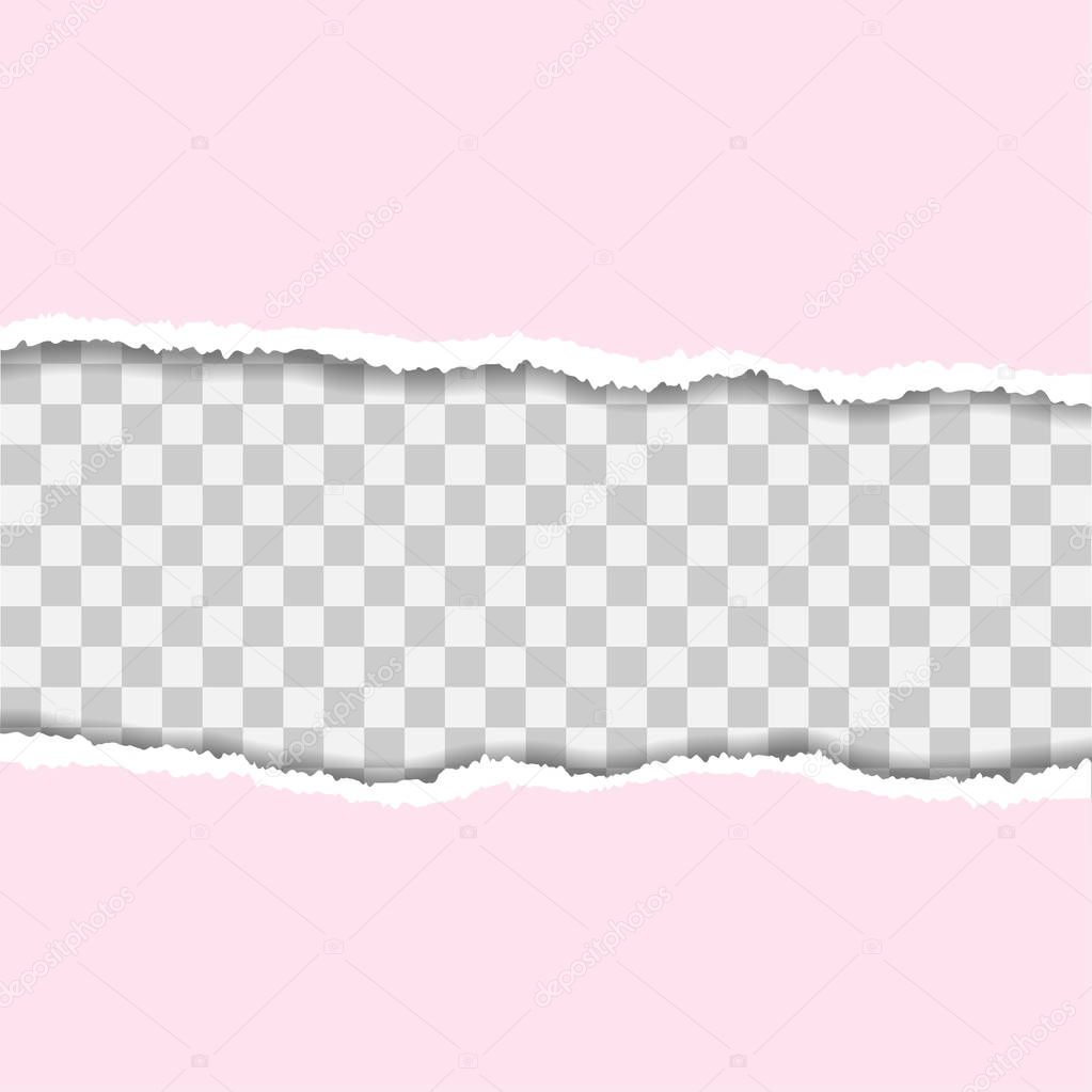 Ripped paper. Vector of ripped paper. the paper was ripped background.