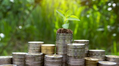 Para biriktirme kavramı ve para yığını iş için büyüyor. finansal ve muhasebe kavramı.