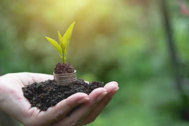 Para kavramı para sikke yığını ve bitki tutan el ile kaydetme. mali ve muhasebe kavramı.