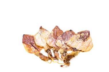 Beyaz arka plan üzerinde izole Izgara kalamar. Deniz gıda Tayland.