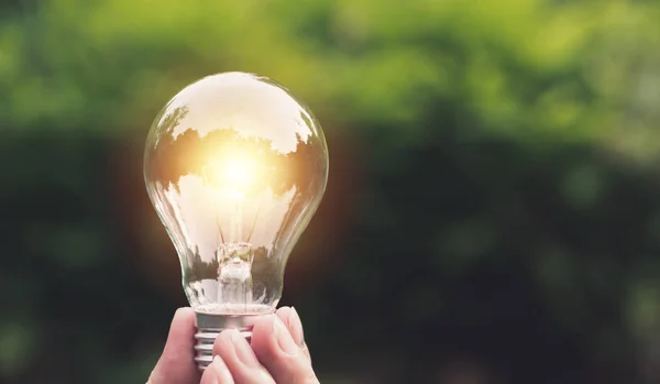 Ampoules Main Avec Lumière Sur Sol Idée Créativité Économie Énergie — Photo