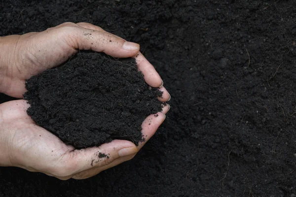 Main Mâle Tenant Terre Dans Les Mains Pour Plantation — Photo